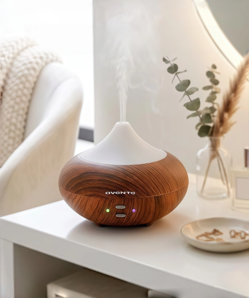 OVENTE Fast Boiling Kettle and HomeEssentials